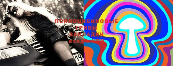 ECSTASY Пестово