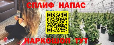 шишки Северобайкальск
