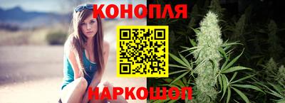 шишки Северобайкальск