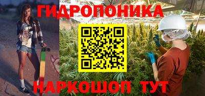 шишки Северобайкальск