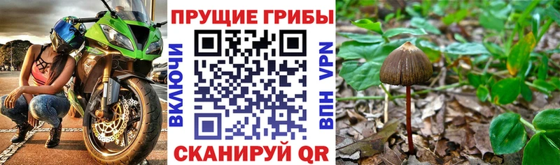 Галлюциногенные грибы Magic Shrooms  наркотики  Североуральск 