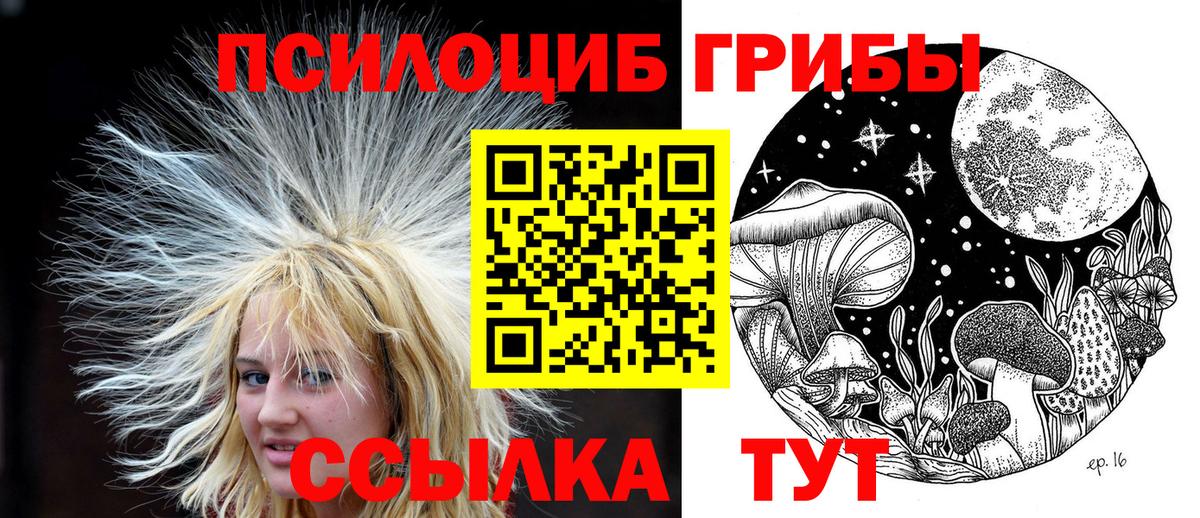 Североуральск  Псилоцибиновые грибы GOLDEN TEACHER  Вход с VPN 